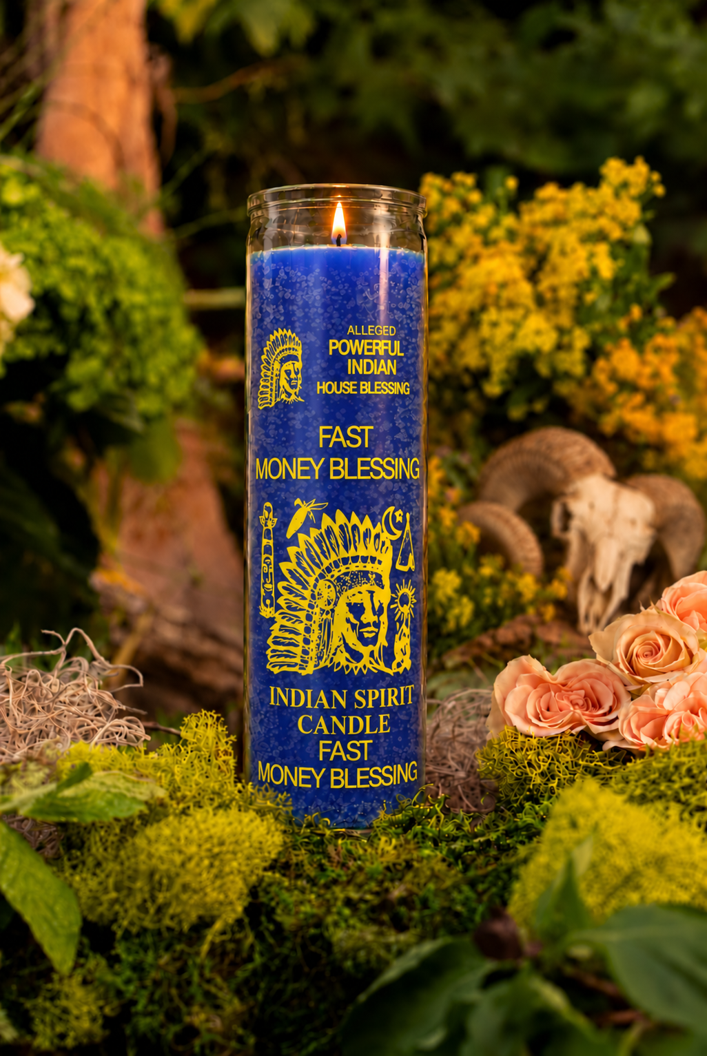 Fast Money Blessing 7 Day Candle, Blue